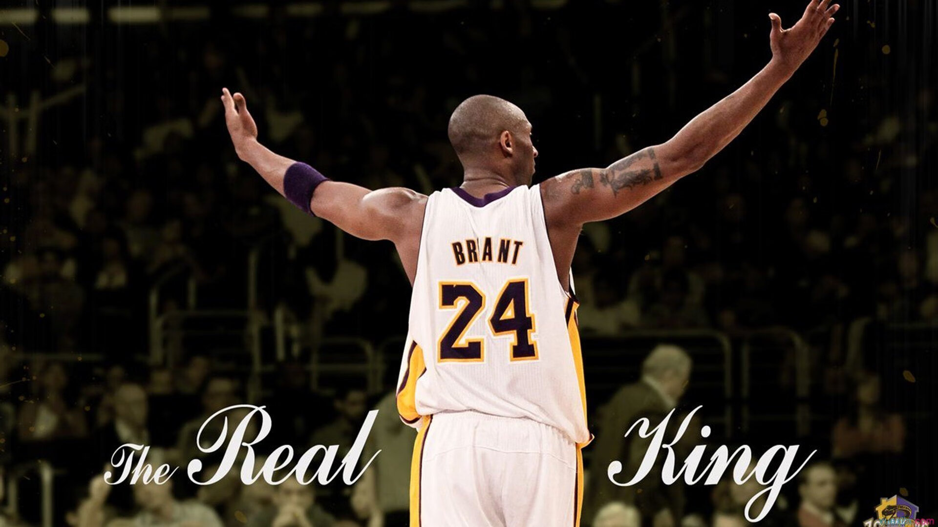 自由泳技术细节改进成效显著,自由泳要点经验总结